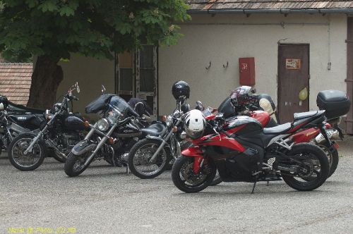 DSC_9396.jpg