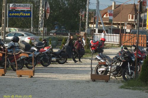 dsc_9559.jpg