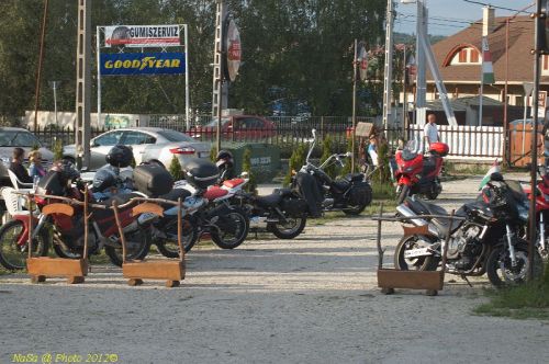 dsc_9560.jpg