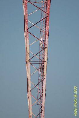 DSC_1398.JPG