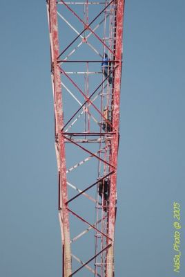 DSC_1399.JPG