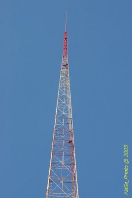 DSC_1404.JPG