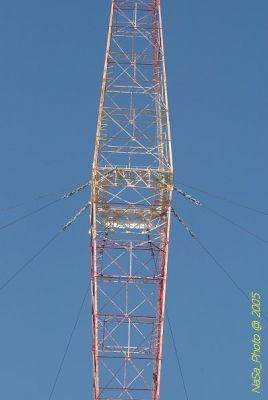 DSC_1405.JPG