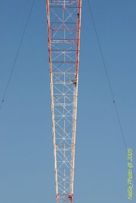 DSC_1406.JPG
