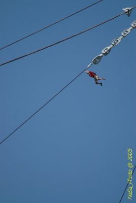 DSC_1441.JPG