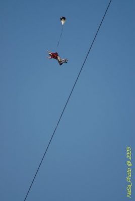 DSC_1442.JPG