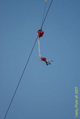 DSC_1443.JPG