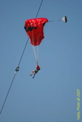 DSC_1445.JPG