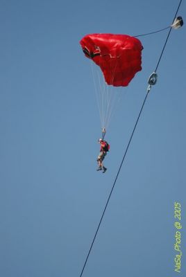 DSC_1446.JPG