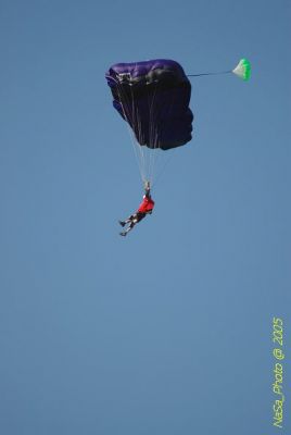 DSC_1455.JPG