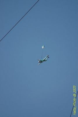 DSC_1458.JPG