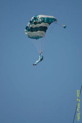 DSC_1460.JPG