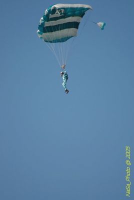 DSC_1461.JPG