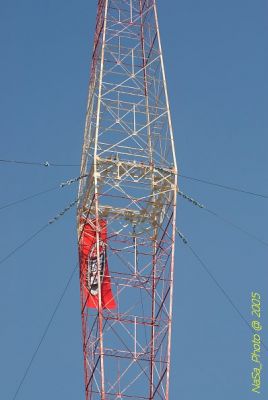 DSC_1467.JPG