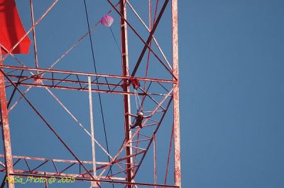 DSC_1498.JPG