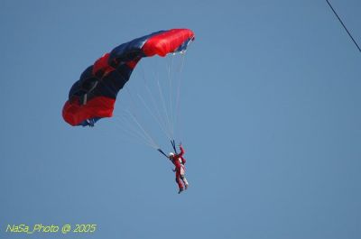 DSC_1502.JPG