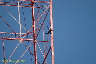 DSC_1534.JPG
