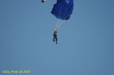 DSC_1536.JPG