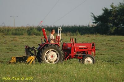 DSC_1576.JPG
