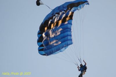 DSC_1651.JPG