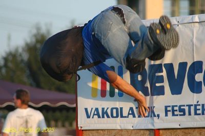 DSC_1667.JPG