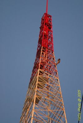 DSC_1733.JPG