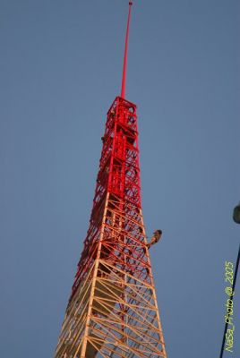 DSC_1734.JPG