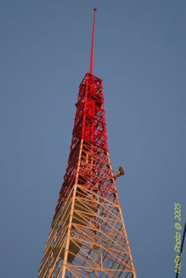 DSC_1736.JPG