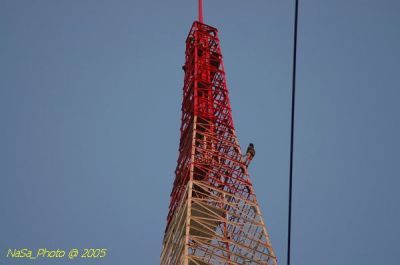 DSC_1737.JPG