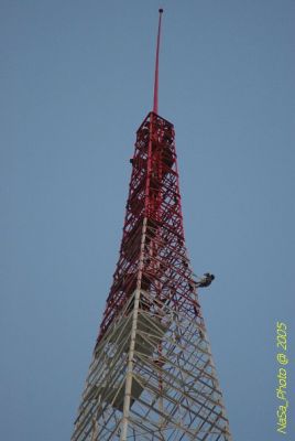 DSC_1742.JPG