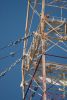 DSC_1435.JPG
