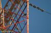 DSC_1602.JPG