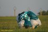 DSC_1615.JPG