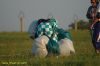 DSC_1616.JPG