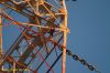 DSC_1674.JPG