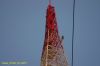 Filename=DSC_1737.JPG
Filesize=26KiB
Dimensions=600x398
Date added=Dec 17, 2005 DSC_1737.JPG
