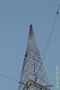 Filename=DSC_1741.JPG
Filesize=37KiB
Dimensions=398x592
Date added=Dec 17, 2005 DSC_1741.JPG
