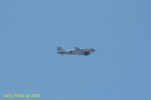 DSC_1826.JPG