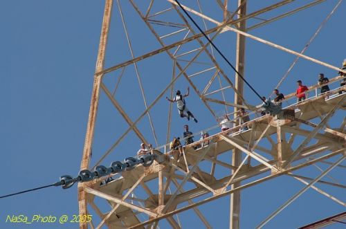 DSC_1950.JPG