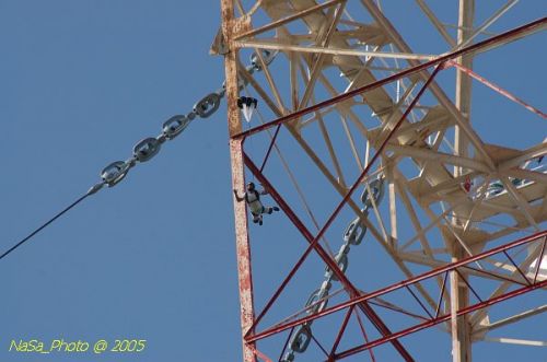 DSC_1952.JPG