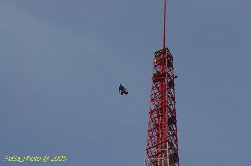 DSC_1994.JPG