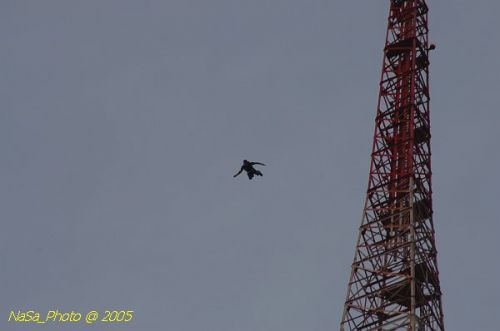 DSC_2132.JPG