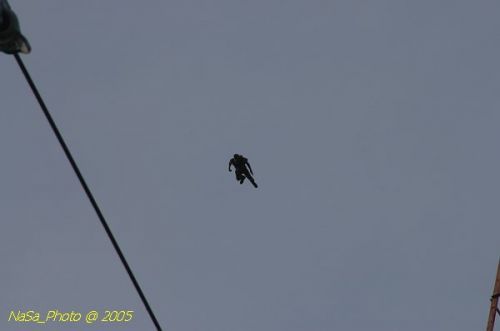 DSC_2136.JPG