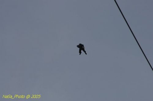 DSC_2137.JPG