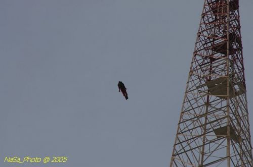 DSC_2146.JPG