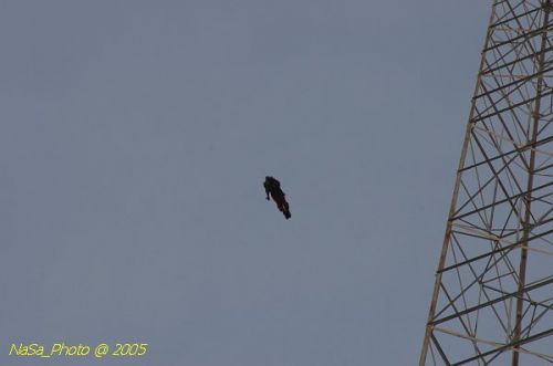 DSC_2147.JPG