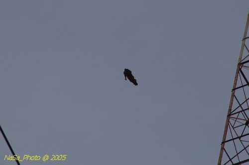 DSC_2148.JPG
