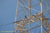 DSC_1918.JPG