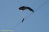 DSC_1962.JPG