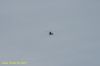 DSC_2044.JPG